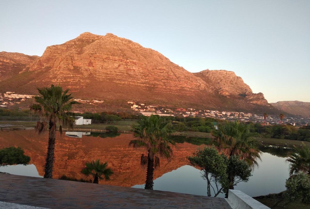 Vlei Cove Guesthouse Cape Town Bagian luar foto