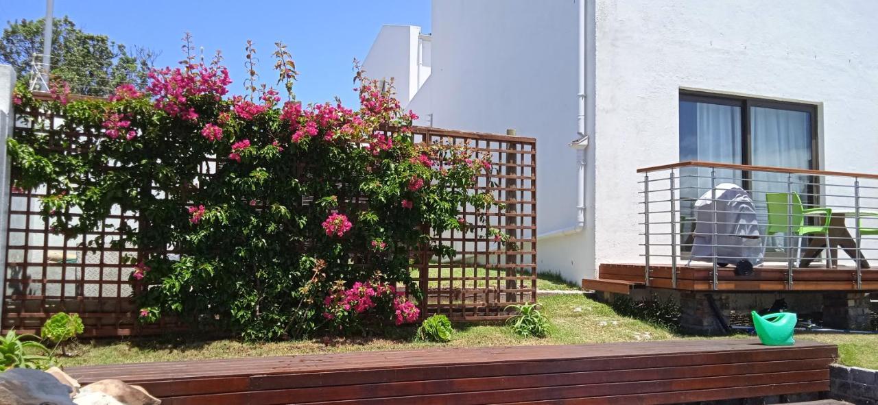 Vlei Cove Guesthouse Cape Town Bagian luar foto