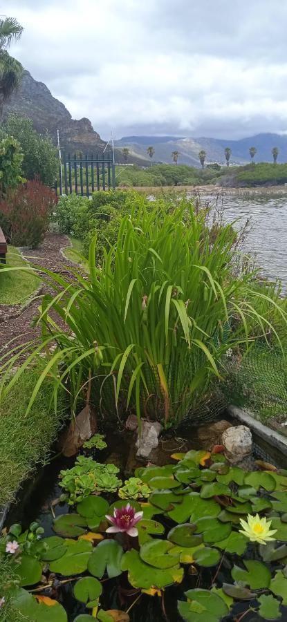Vlei Cove Guesthouse Cape Town Bagian luar foto