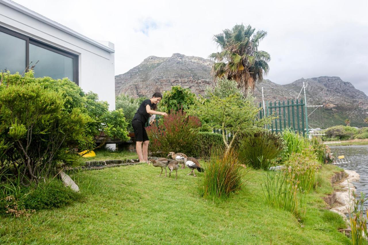 Vlei Cove Guesthouse Cape Town Bagian luar foto
